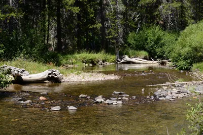 DSC_3644 (Large).JPG